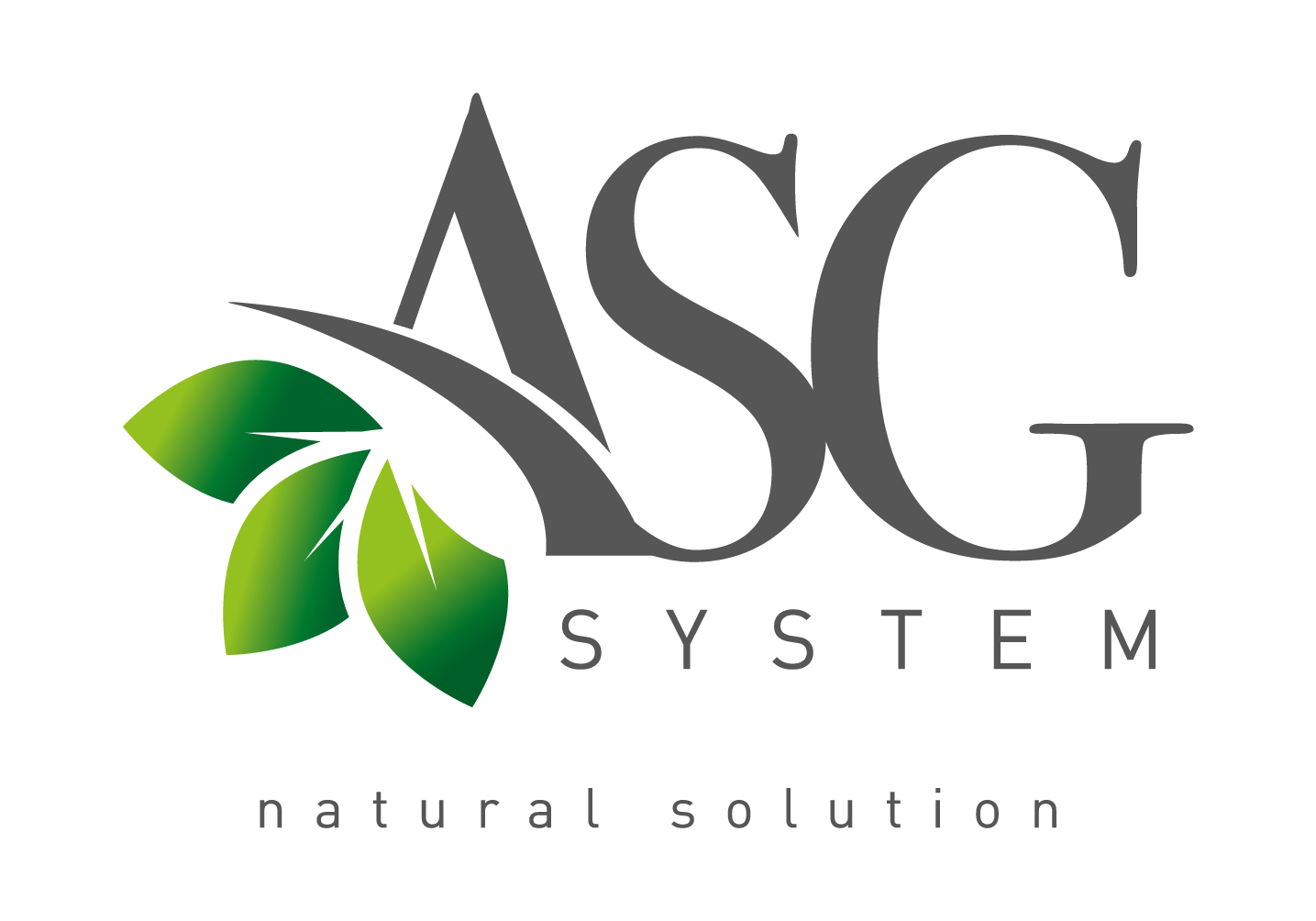 ASG system logo def-01