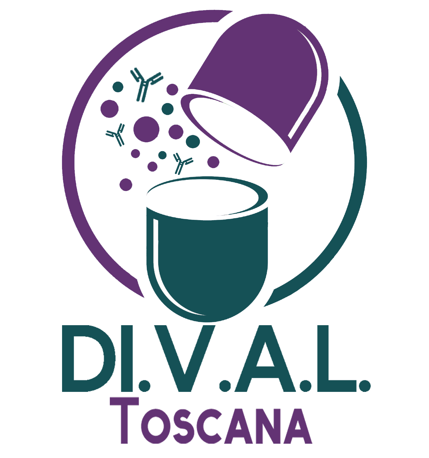 Logo Dival