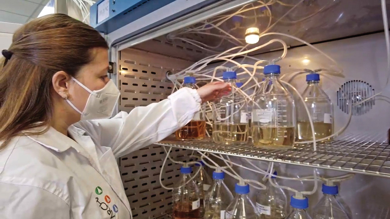 ARCHA Test Biodegradabilità – giulia cecchi