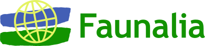 Faunalia_name – Ulisse Cavallini