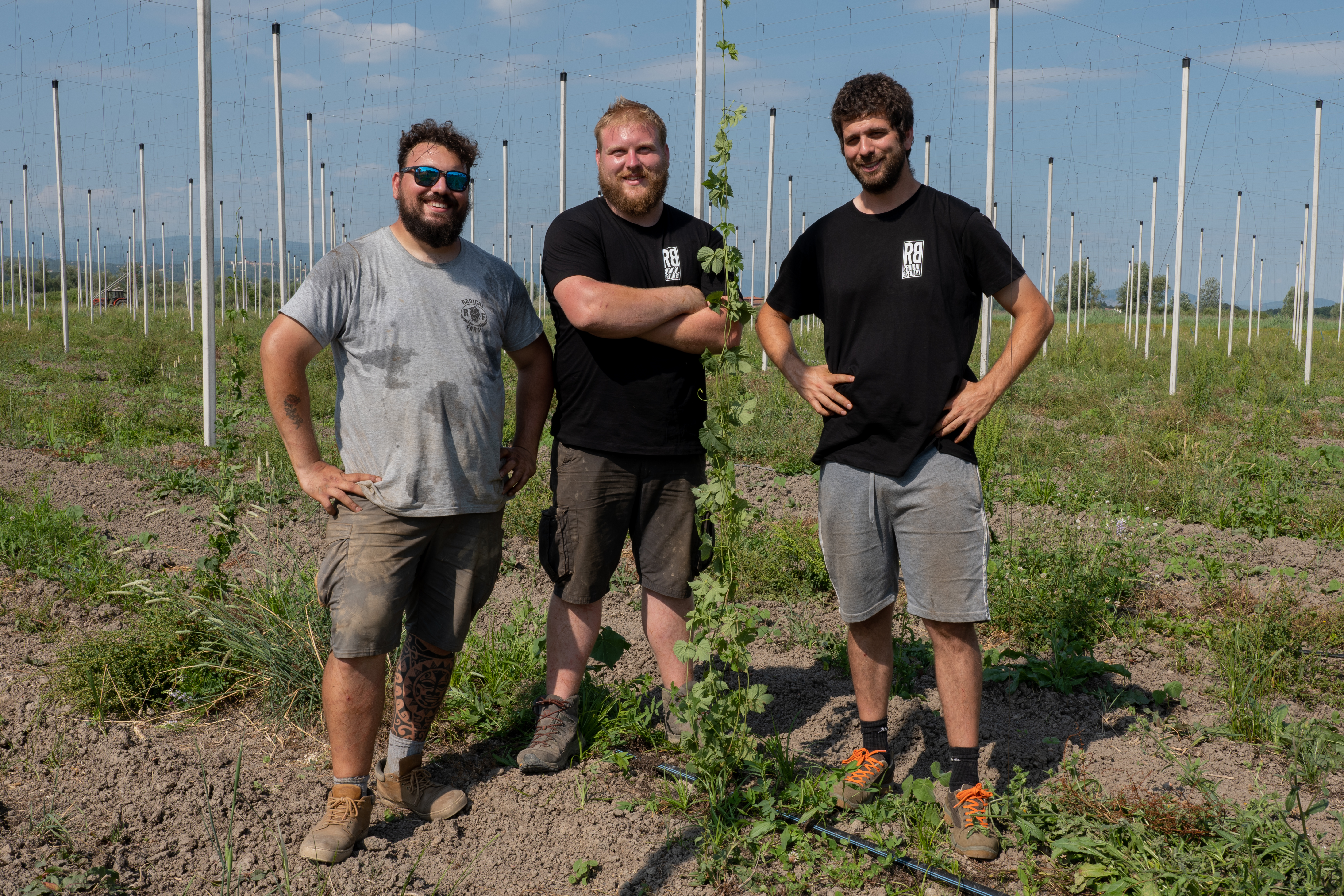 P1049909 – Bafolo bafolo